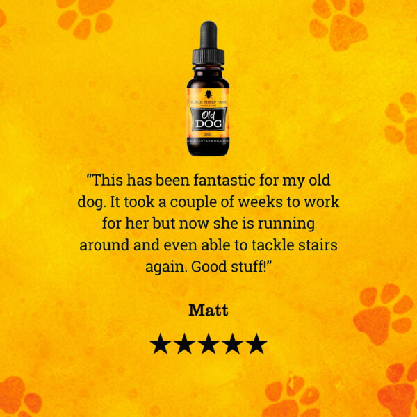 Old Dog Hemp Oil