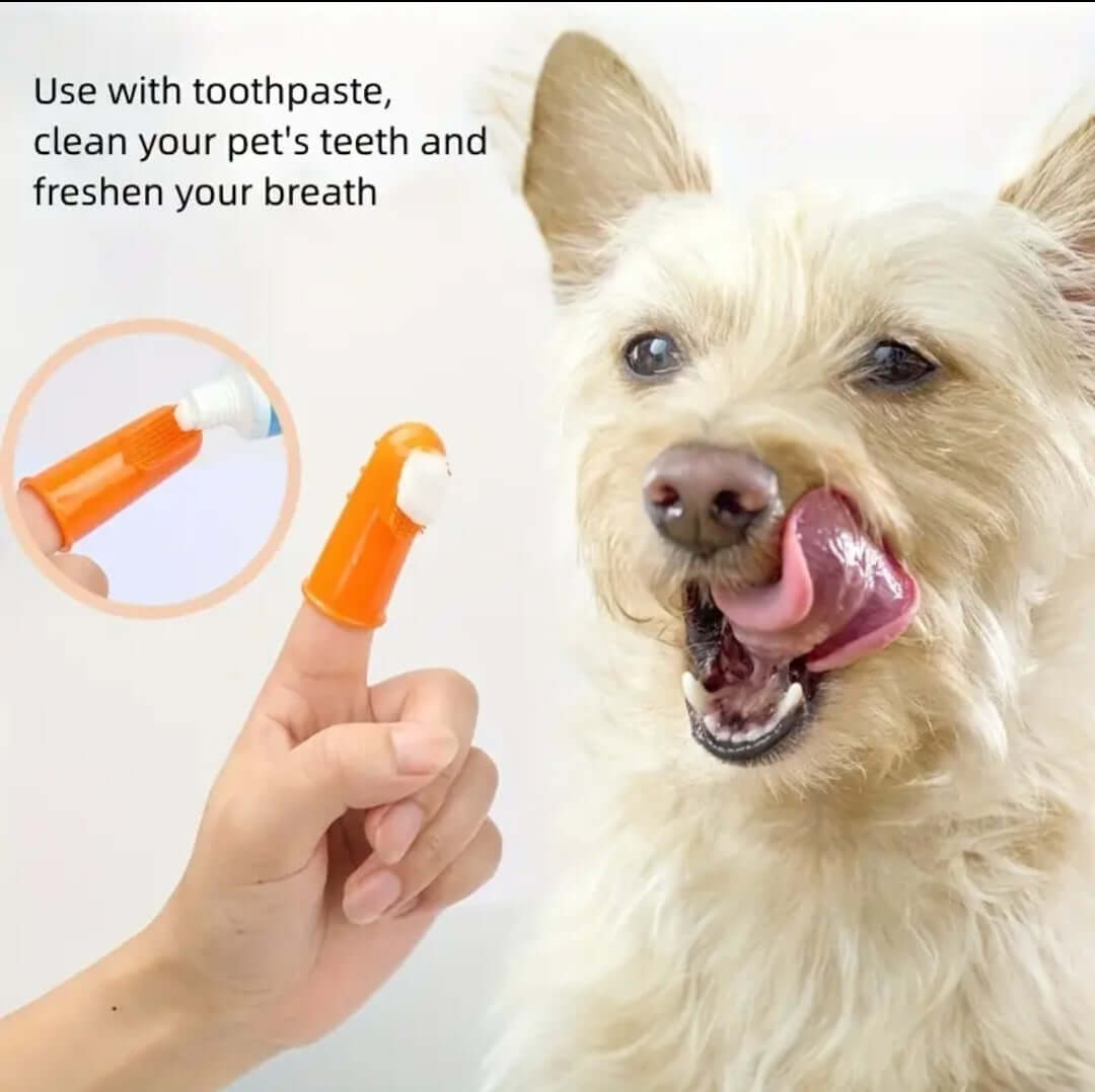 Finger Brush 4 Pack