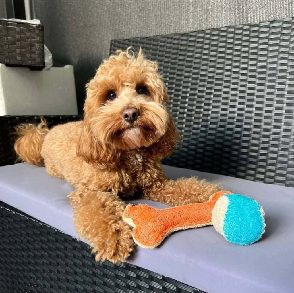 Dental Loofah Chew Bone
