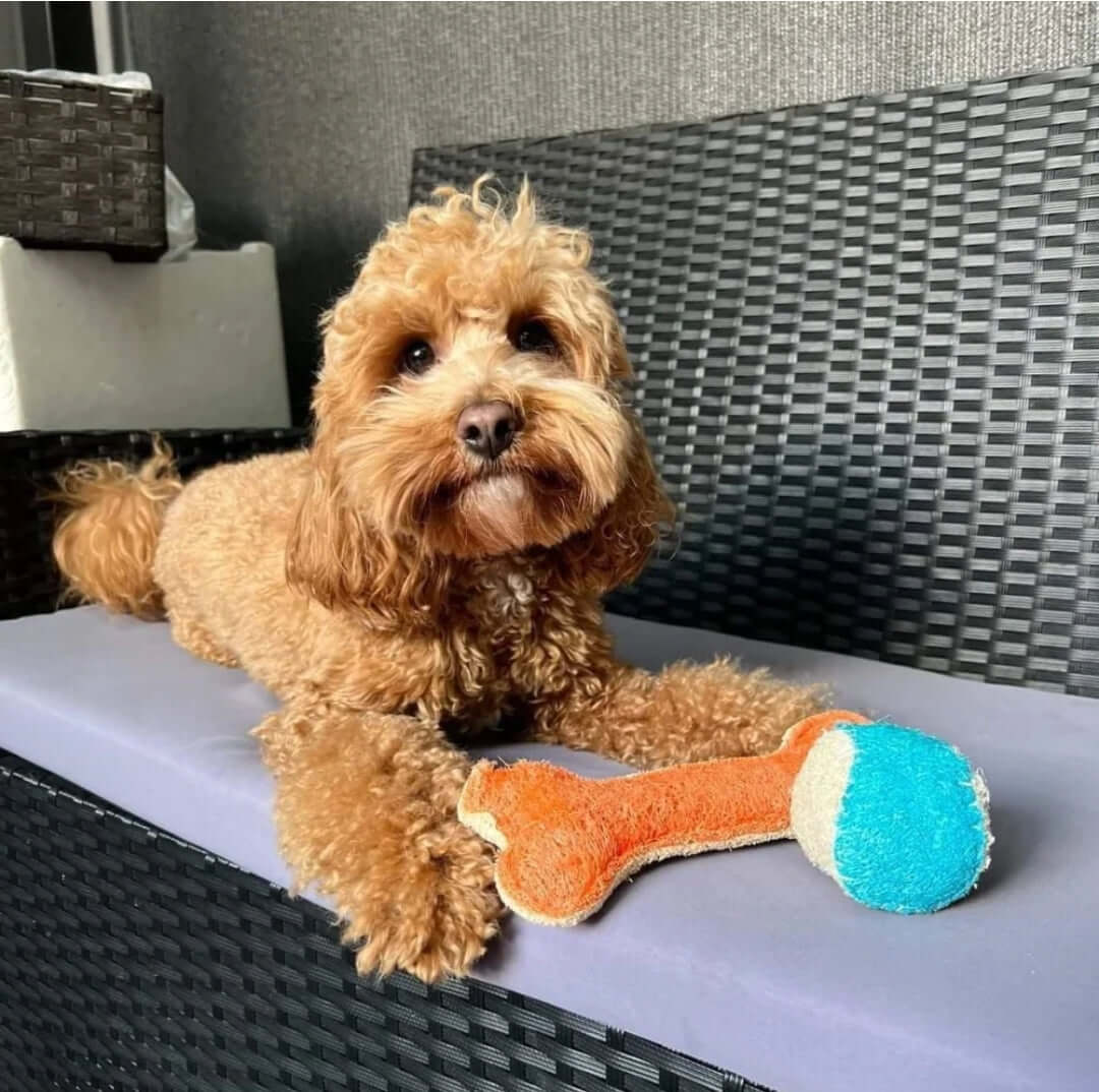 Dental Loofah Chew Bone
