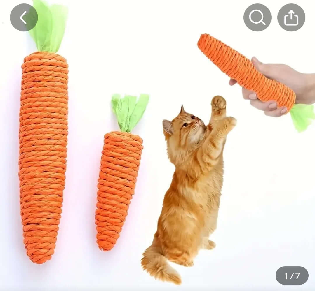 Cat Dental Chew Carrot