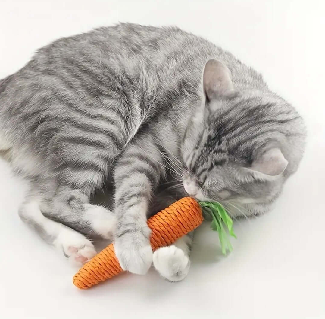 Cat Toothbrush - Round head