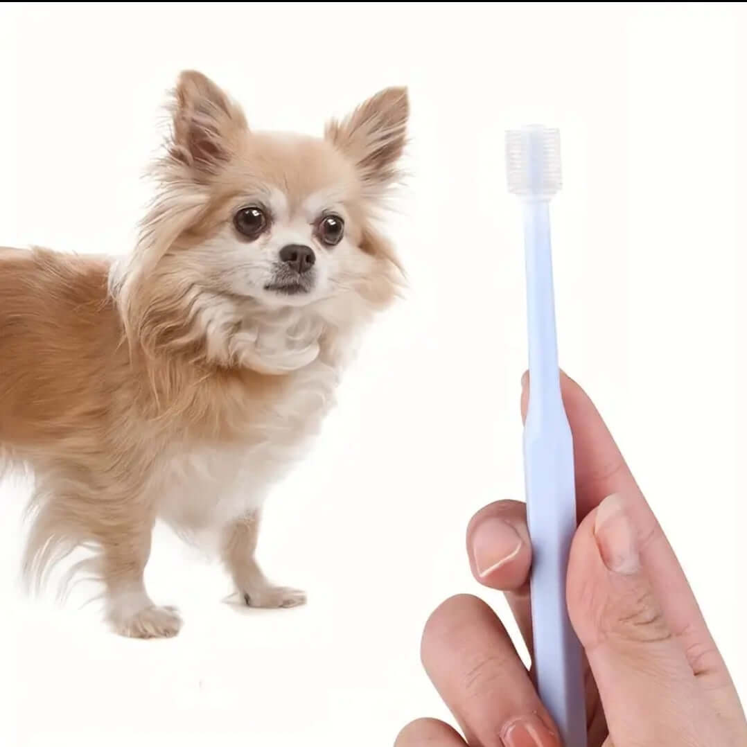 Small Round Pet Toothbrush