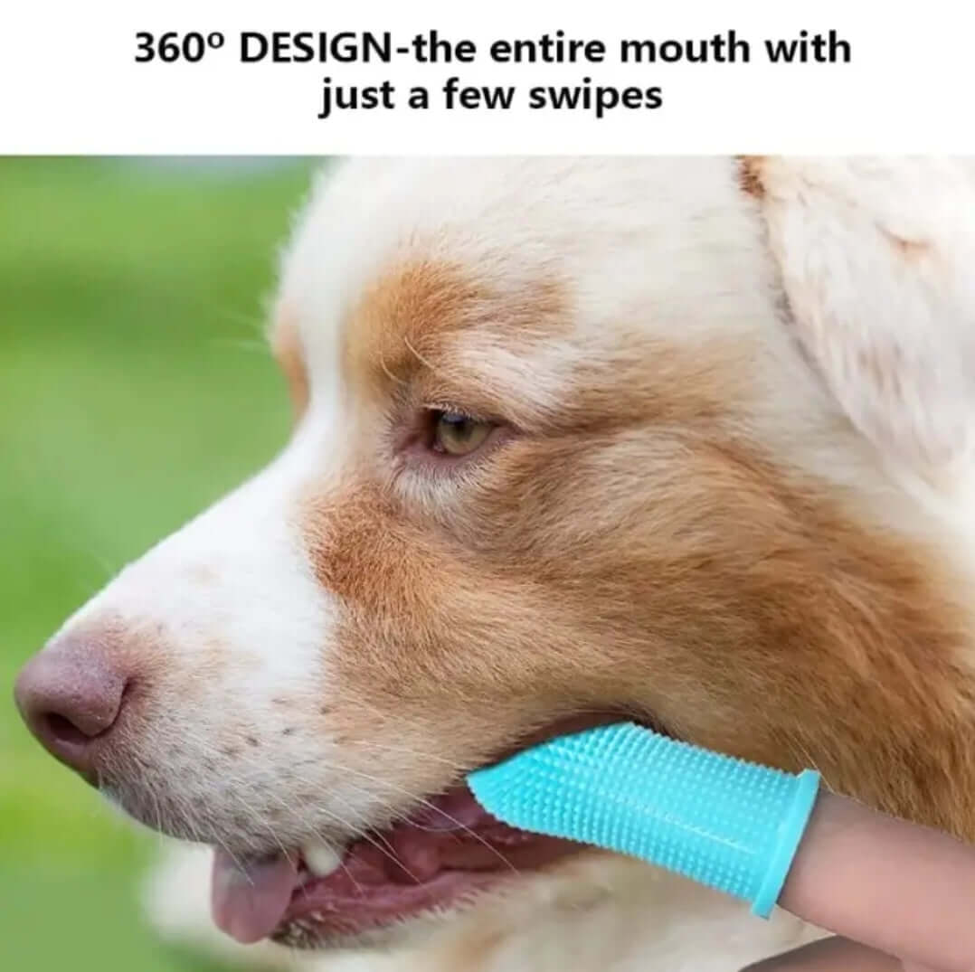 Pet Finger Brush with cover