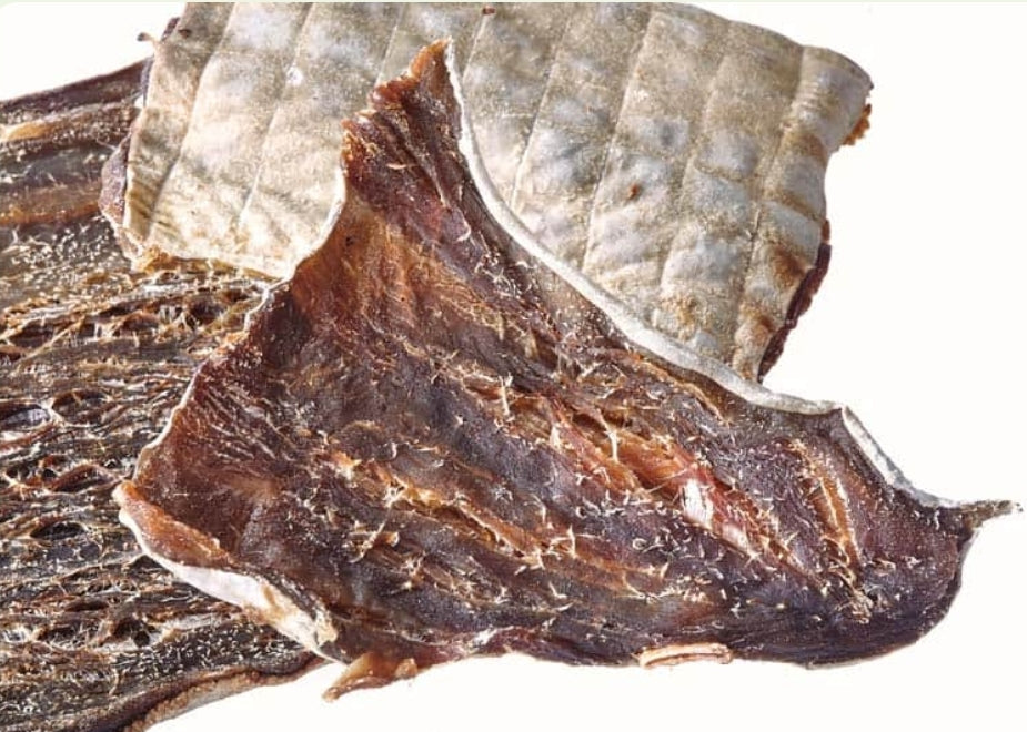 Shark Skin Dental Chews for Dogs