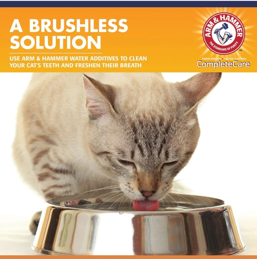 Cat Dental Water