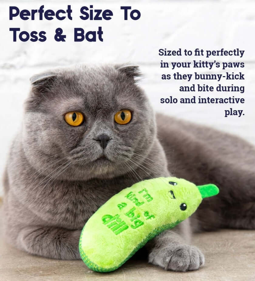 Crunchy Pickle Dental Toy for Cats