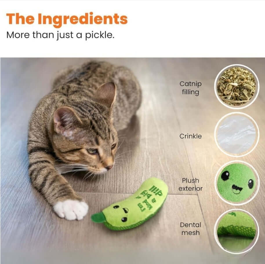 Crunchy Pickle Dental Toy for Cats