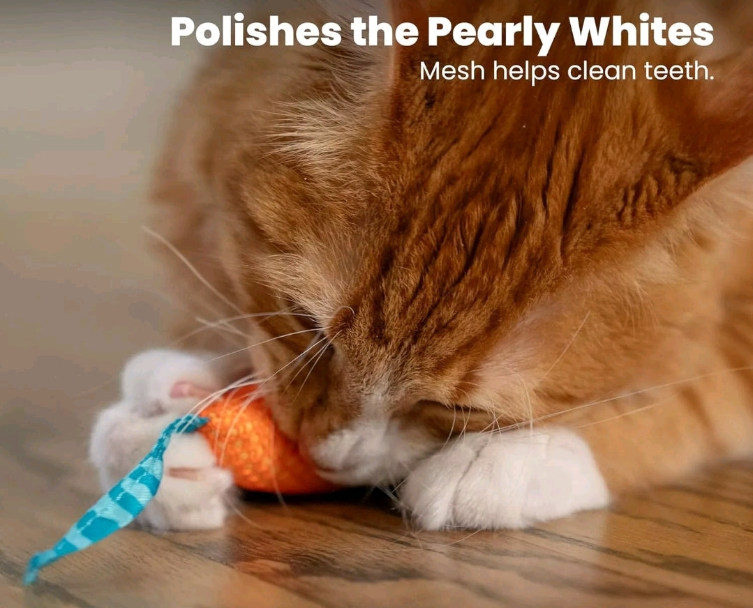 Cat Dental Mice Chew