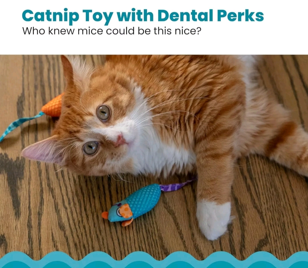 Cat Dental Mice Chew