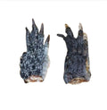 Crocodile Feet Chews 