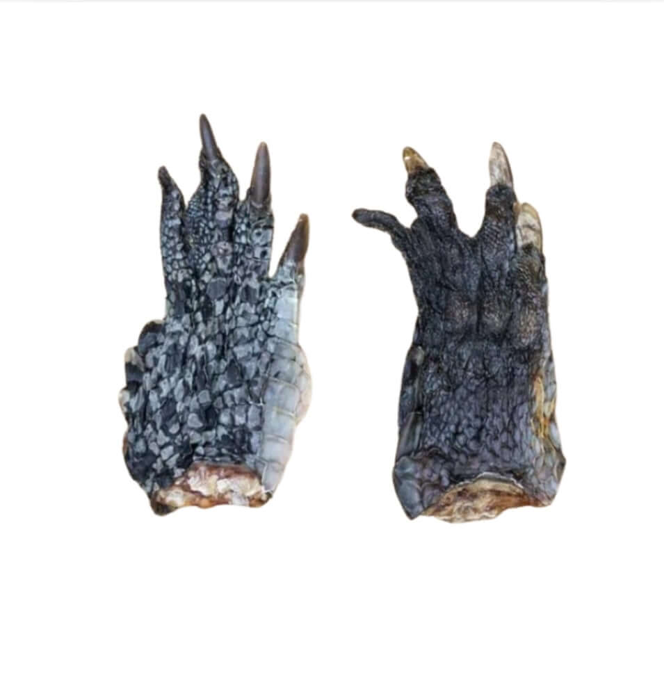 Crocodile Feet Chews 