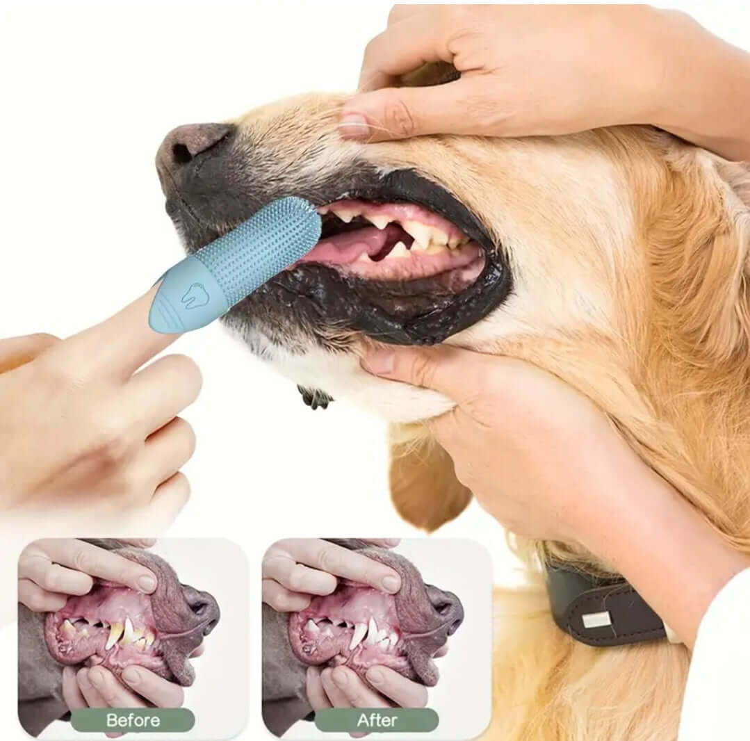 Silicon Finger Brush