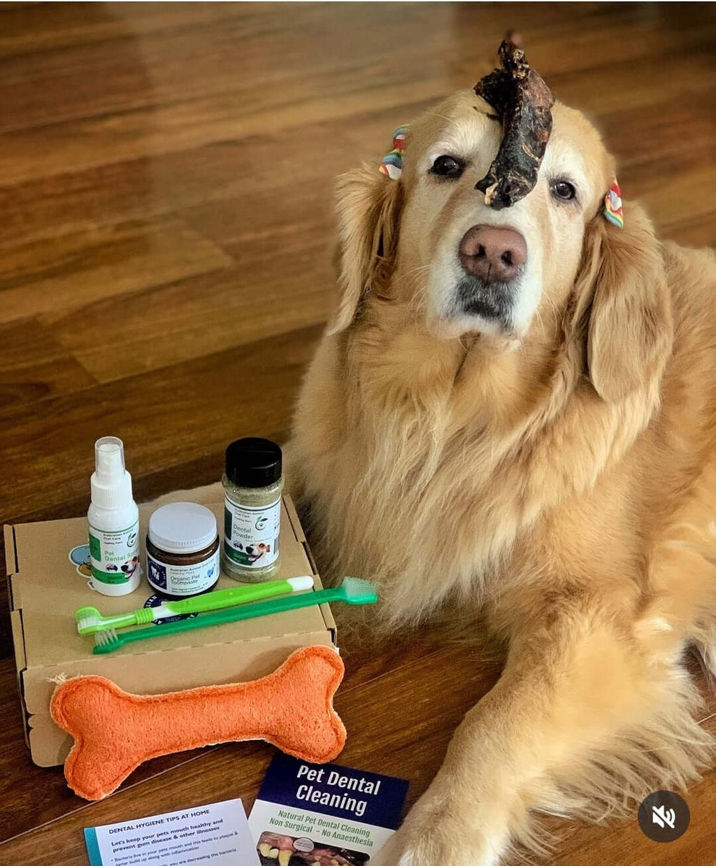 Pet Dental Kit for Dogs