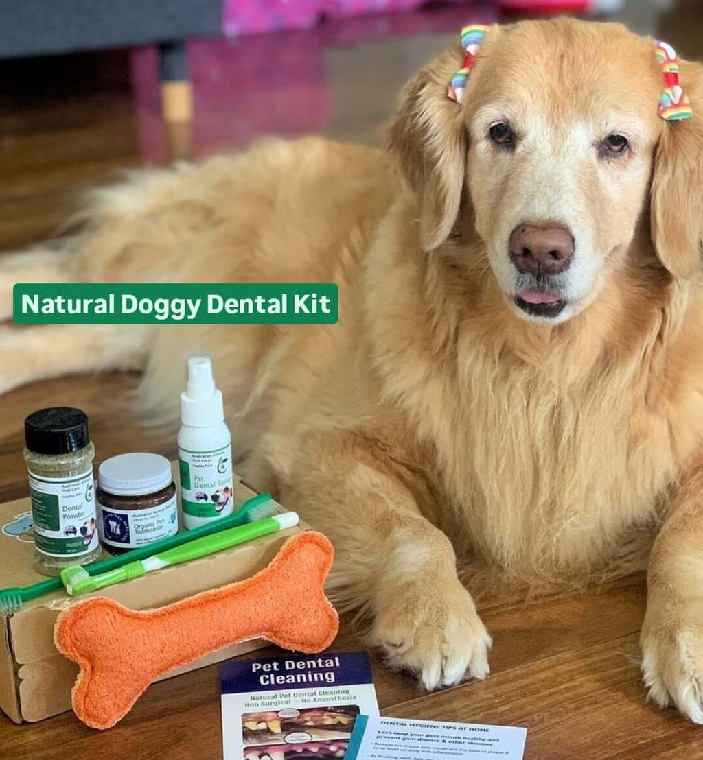 Pet Dental Kit for Dogs