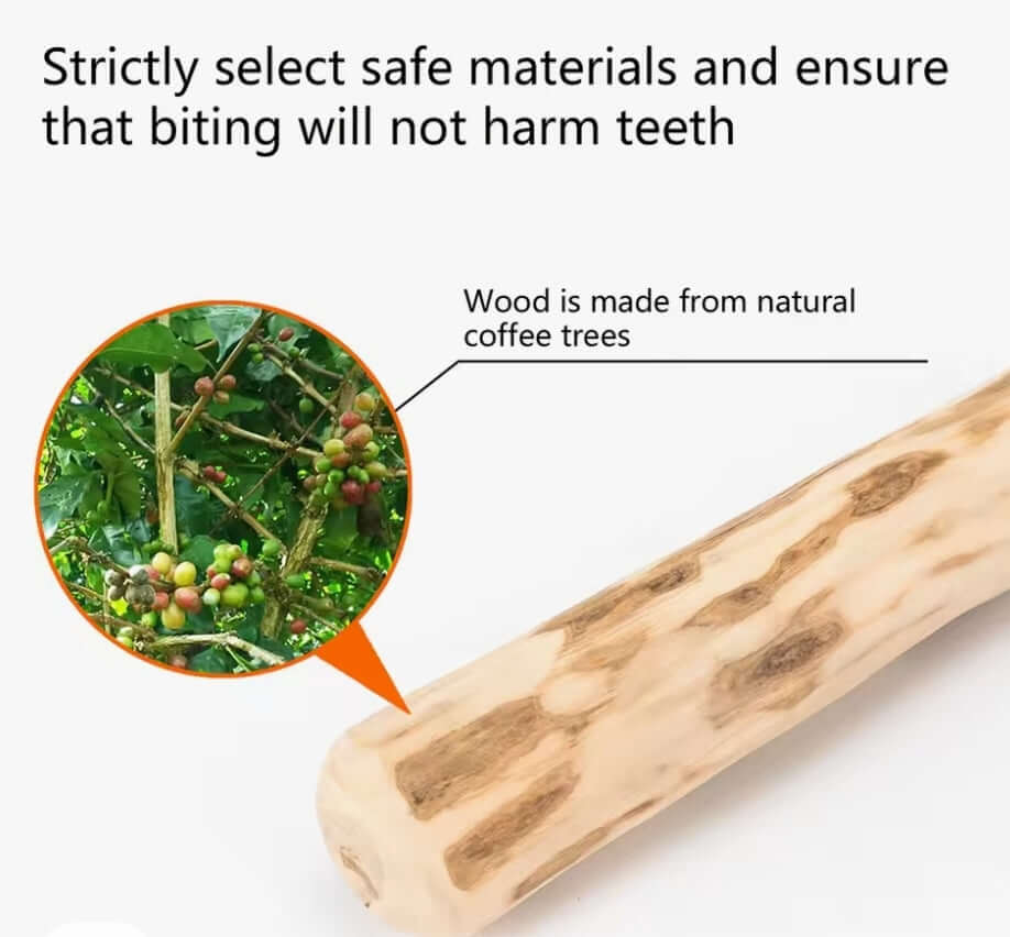Dog Chewing Coffee Wood Dental Chew