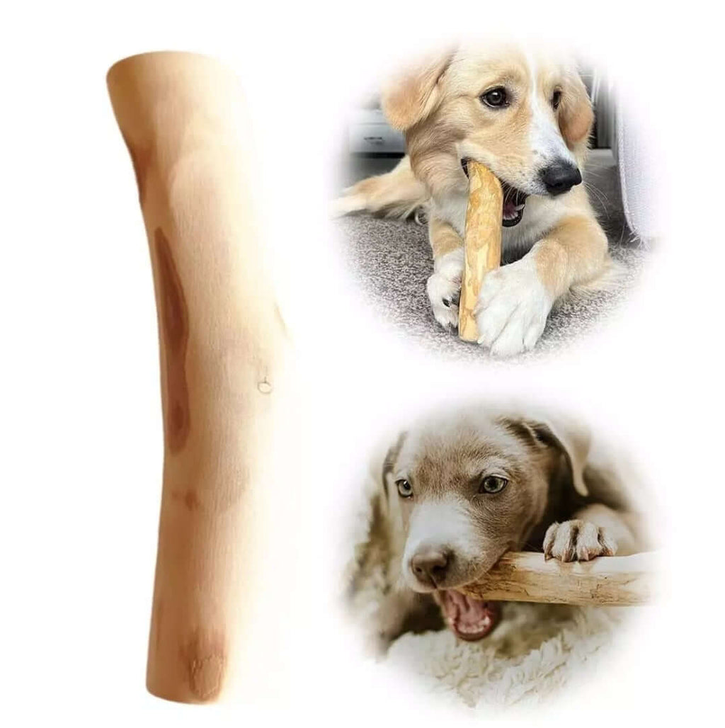 Dog Chewing Coffee Wood Dental Chew