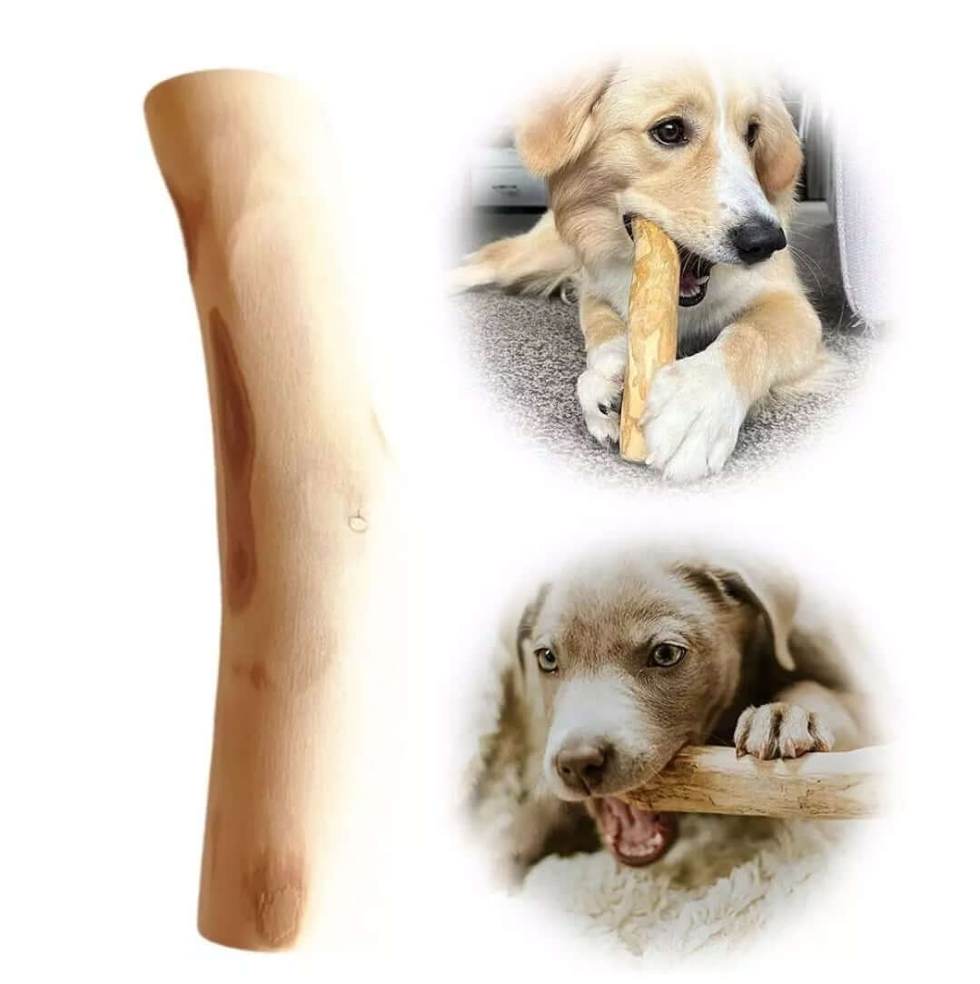 Dog Chewing Coffee Wood Dental Chew