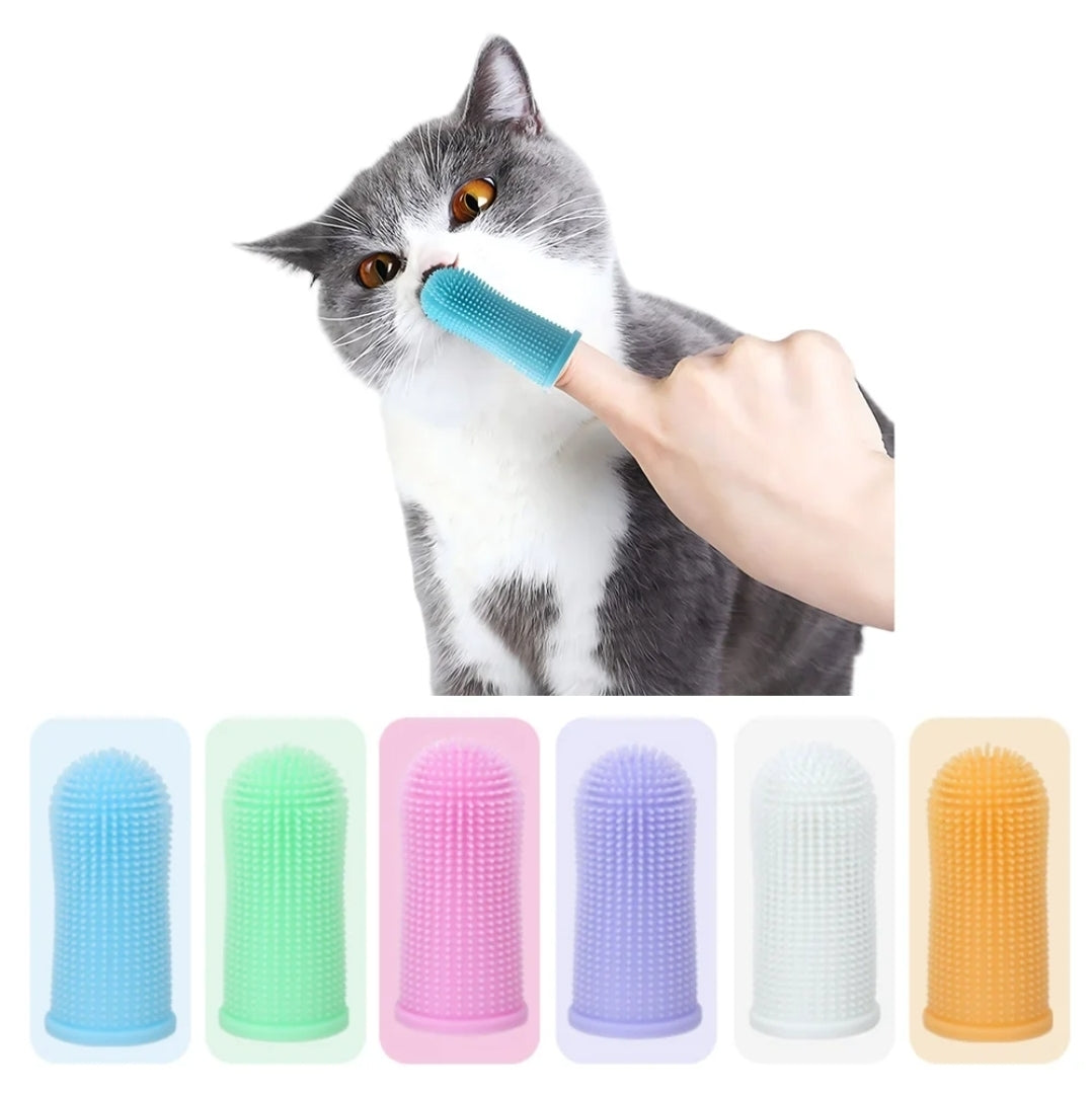 A gray and white cat has its face brushed with a blue silicone pet grooming brush held by a human hand. Below, six additional brush colors are shown in a row: blue, green, pink, purple, white, and orange.