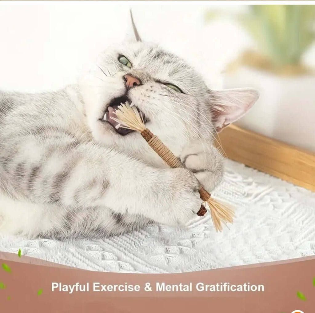 Cat Dental Stick
