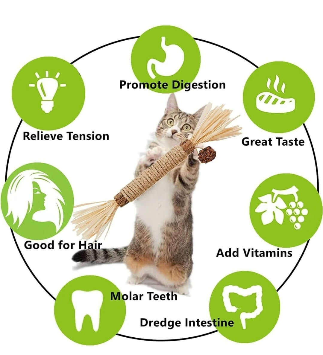 Benefits of Silvervine Dental Chews