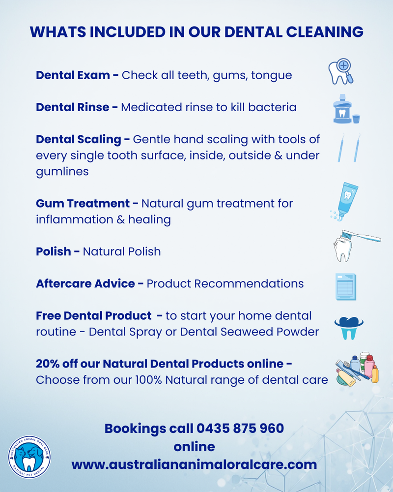 What's included in our Dental Cleaning