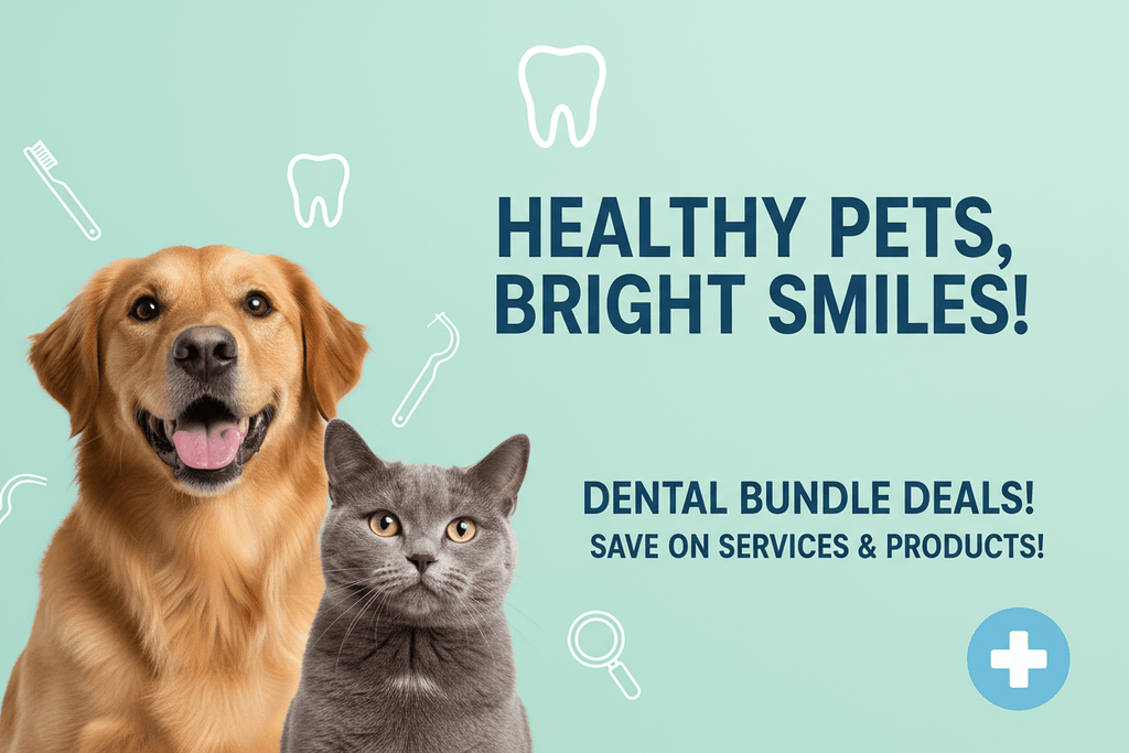 Pet Dental Health Promotion