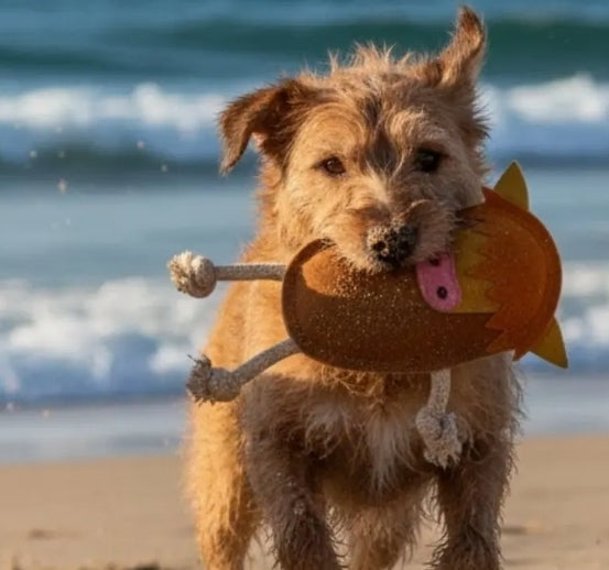 Hector Highland Cow Chew Toy