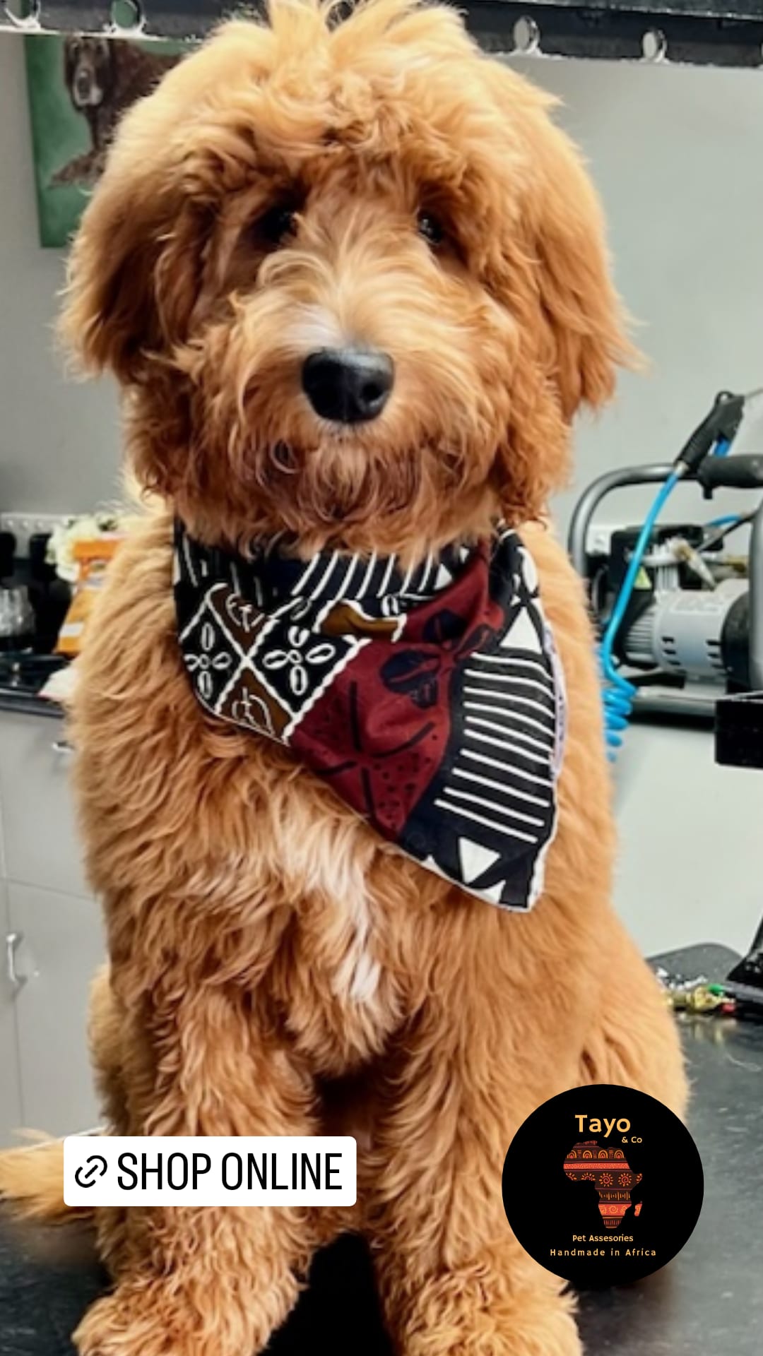 African Dog Bandana