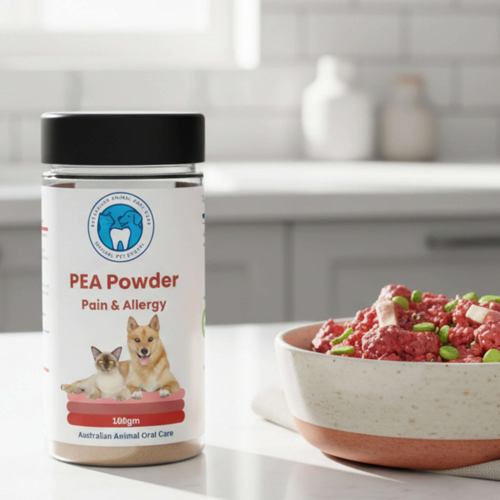 PEA Powder jar with dog food