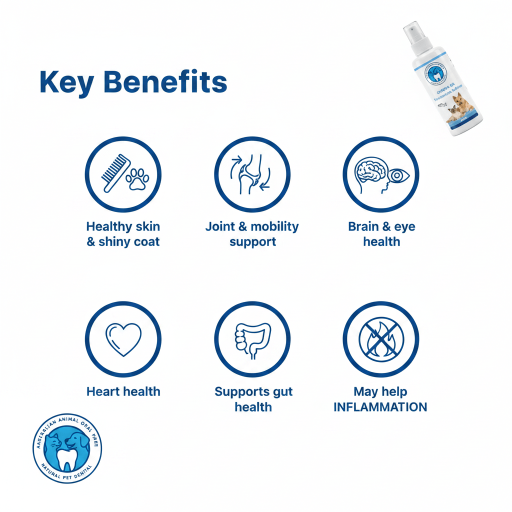 Key Benefits of omega-3 for pets