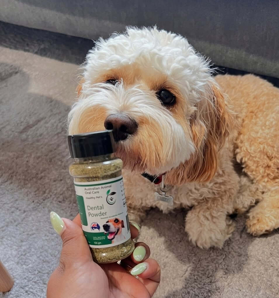 Dog with Seaweed Dental Powder 
