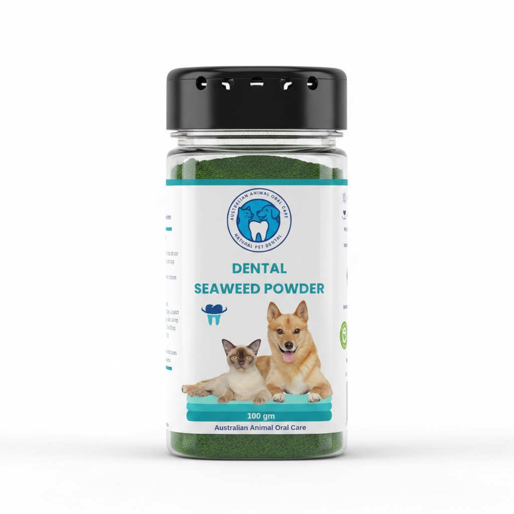 Dental Seaweed Powder -  Ascophyllum Nodosum