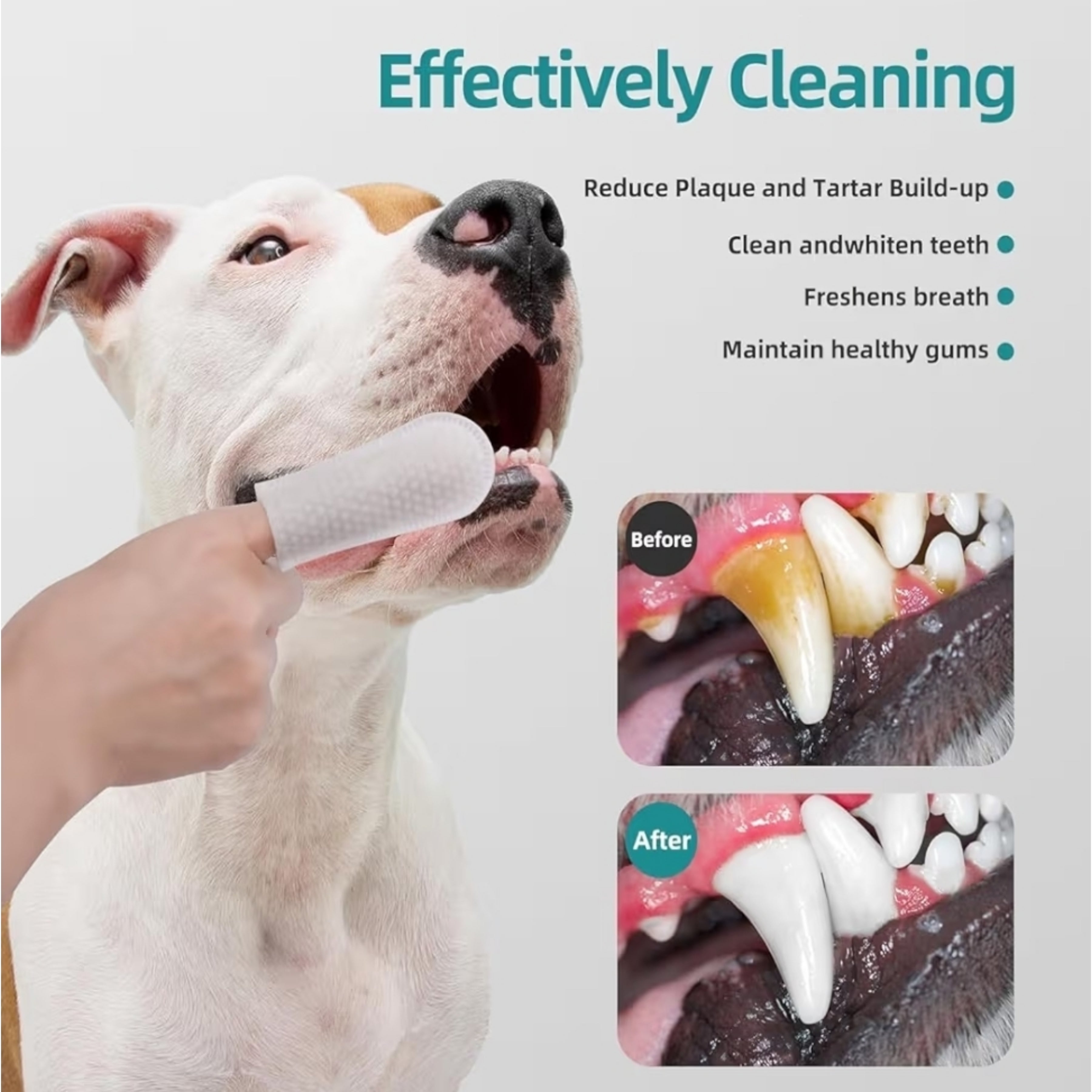 Finger Wipes 