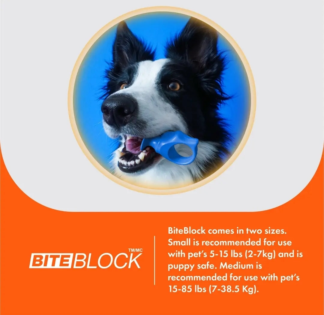 Bite Block