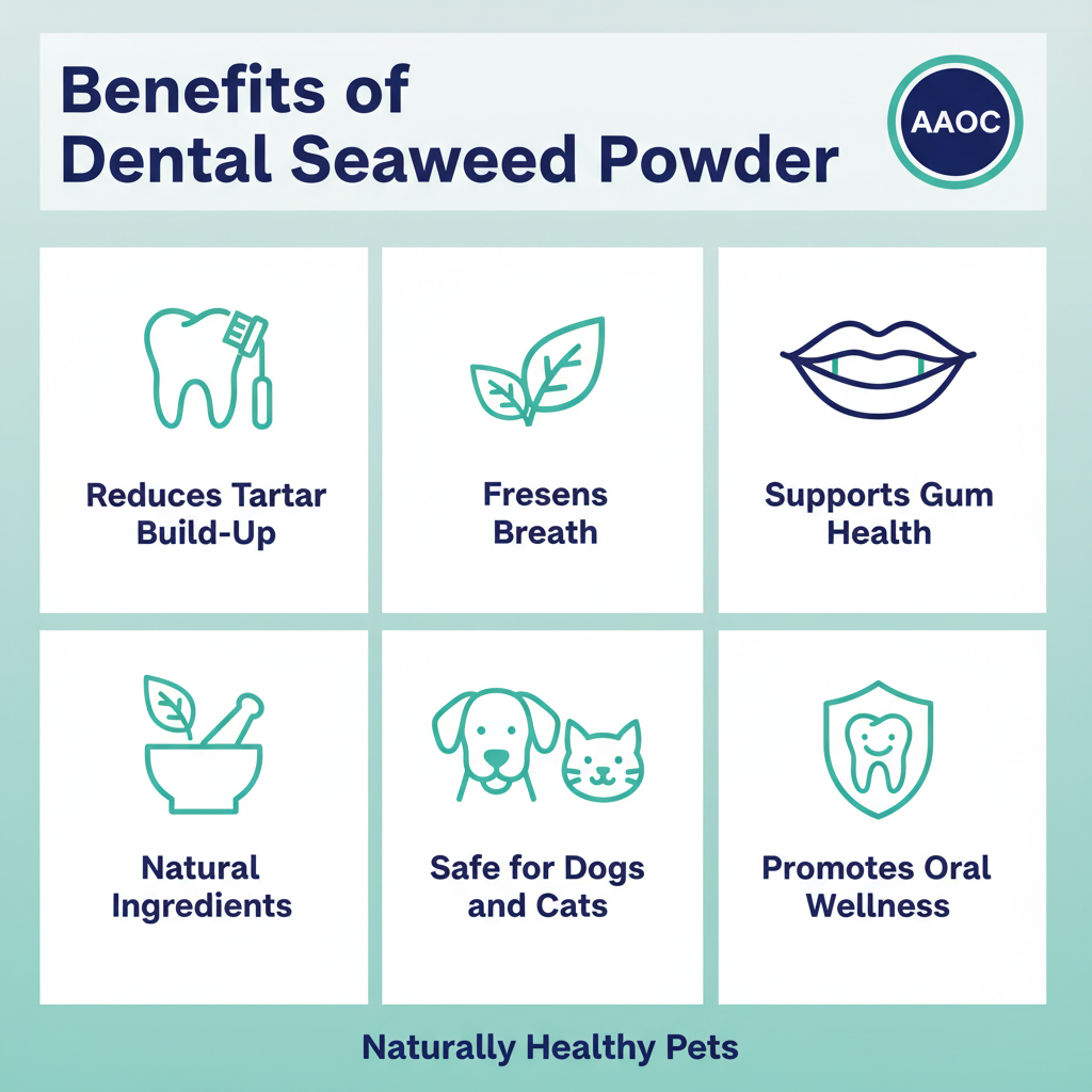 Dental Seaweed Powder -  Ascophyllum Nodosum