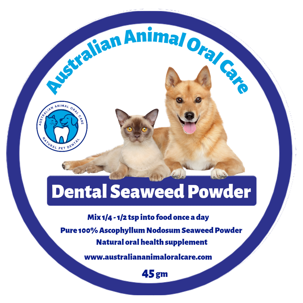 Dental Seaweed Powder -  Ascophyllum Nodosum