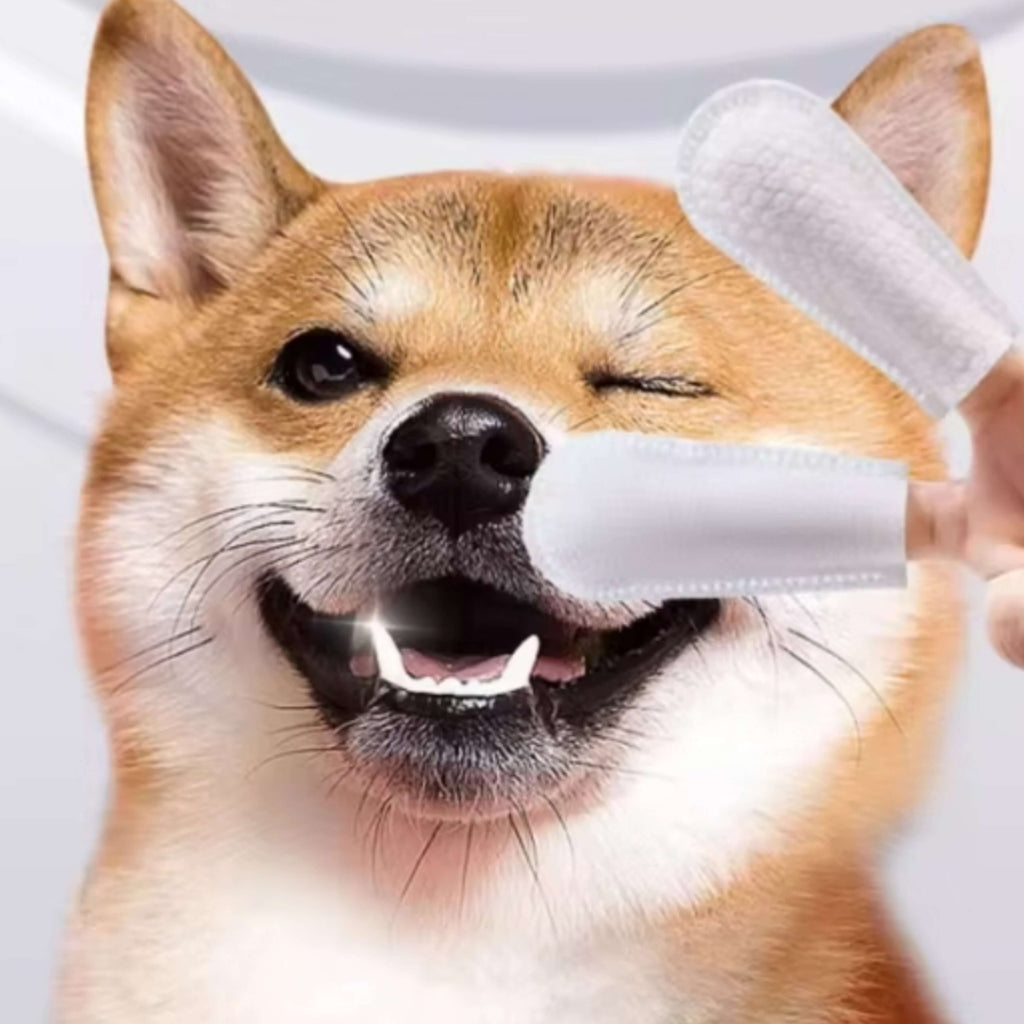 Finger Wipes 