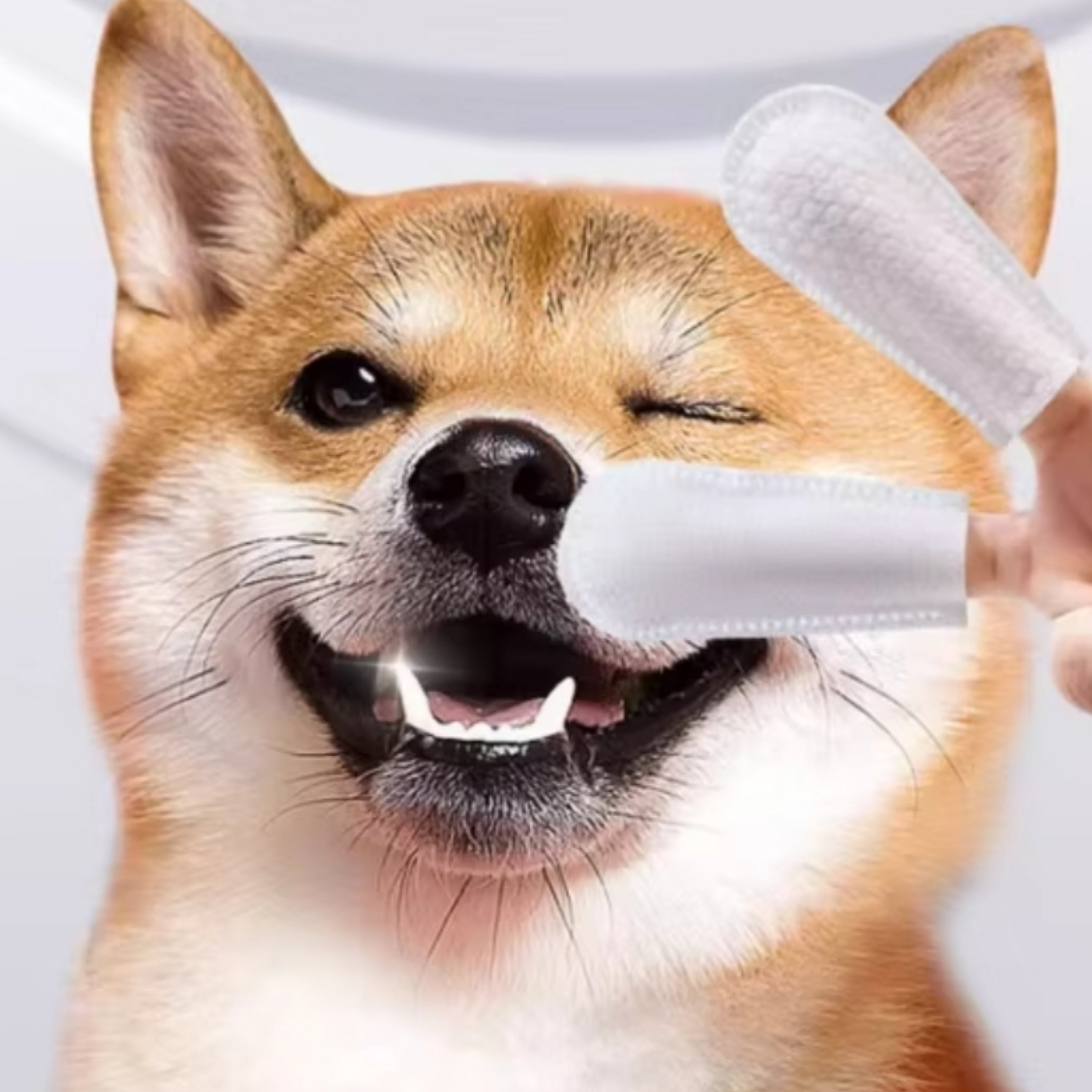 Finger Wipes 