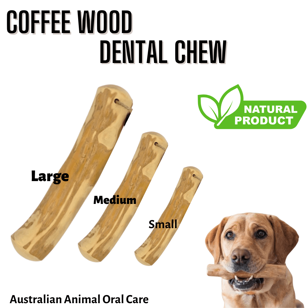 Dog Chewing Coffee Wood Dental Chew