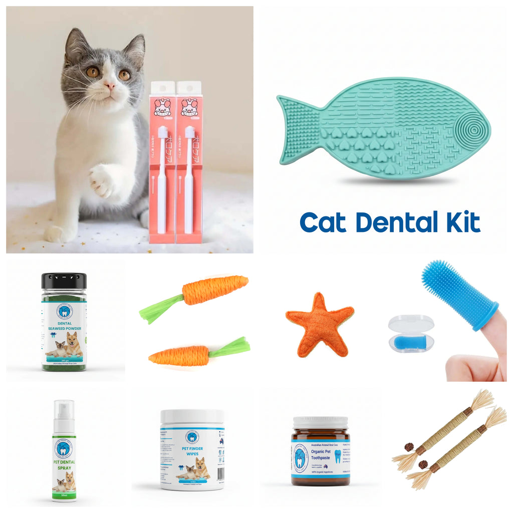 Cat Dental Pack