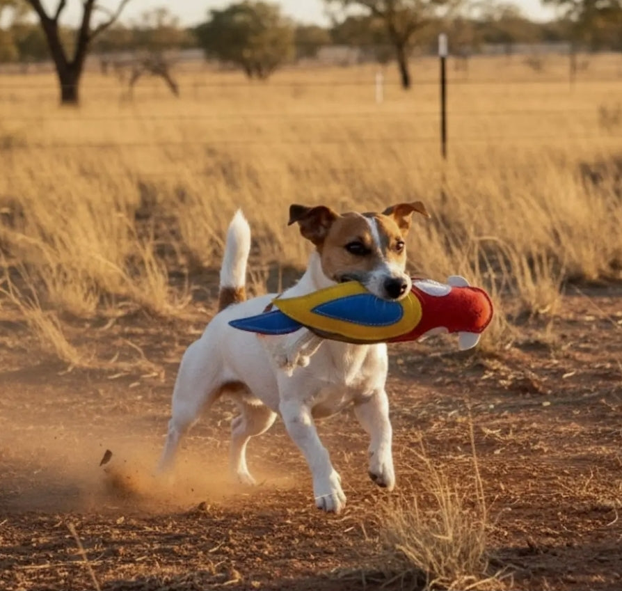 Rick the Rosella Chew Toy