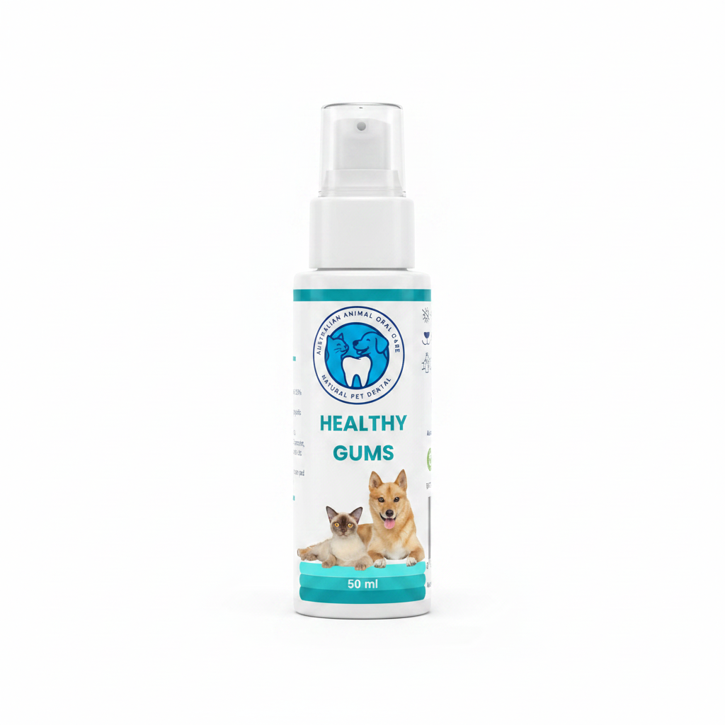 Healthy Gums