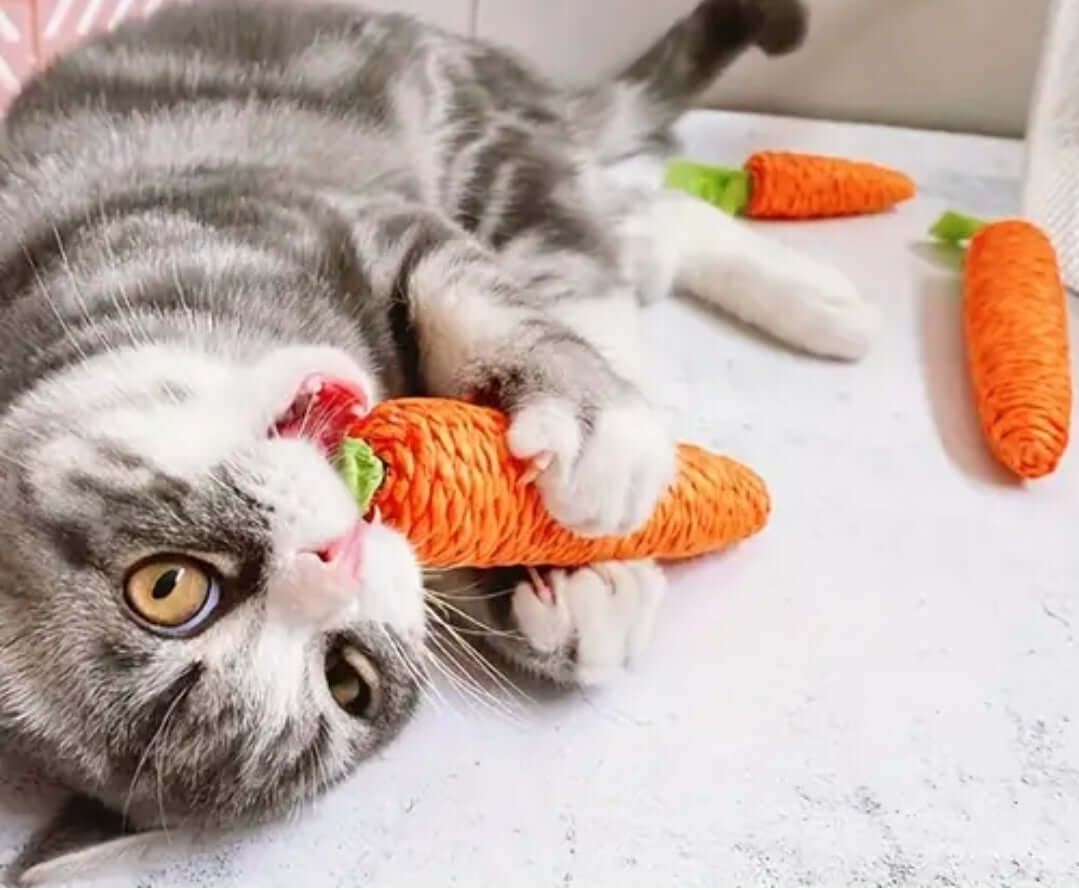 Cat Toothbrush - Round head