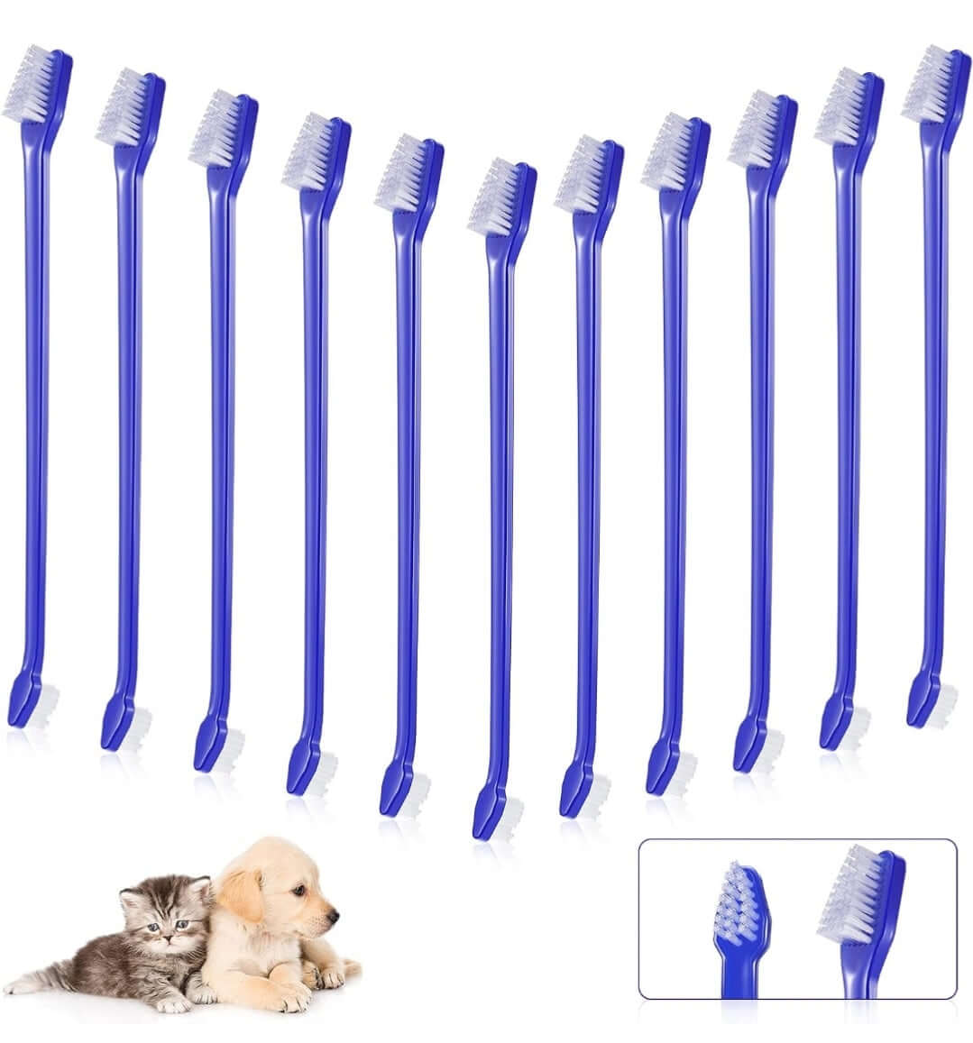 Dual Ended Toothbrush
