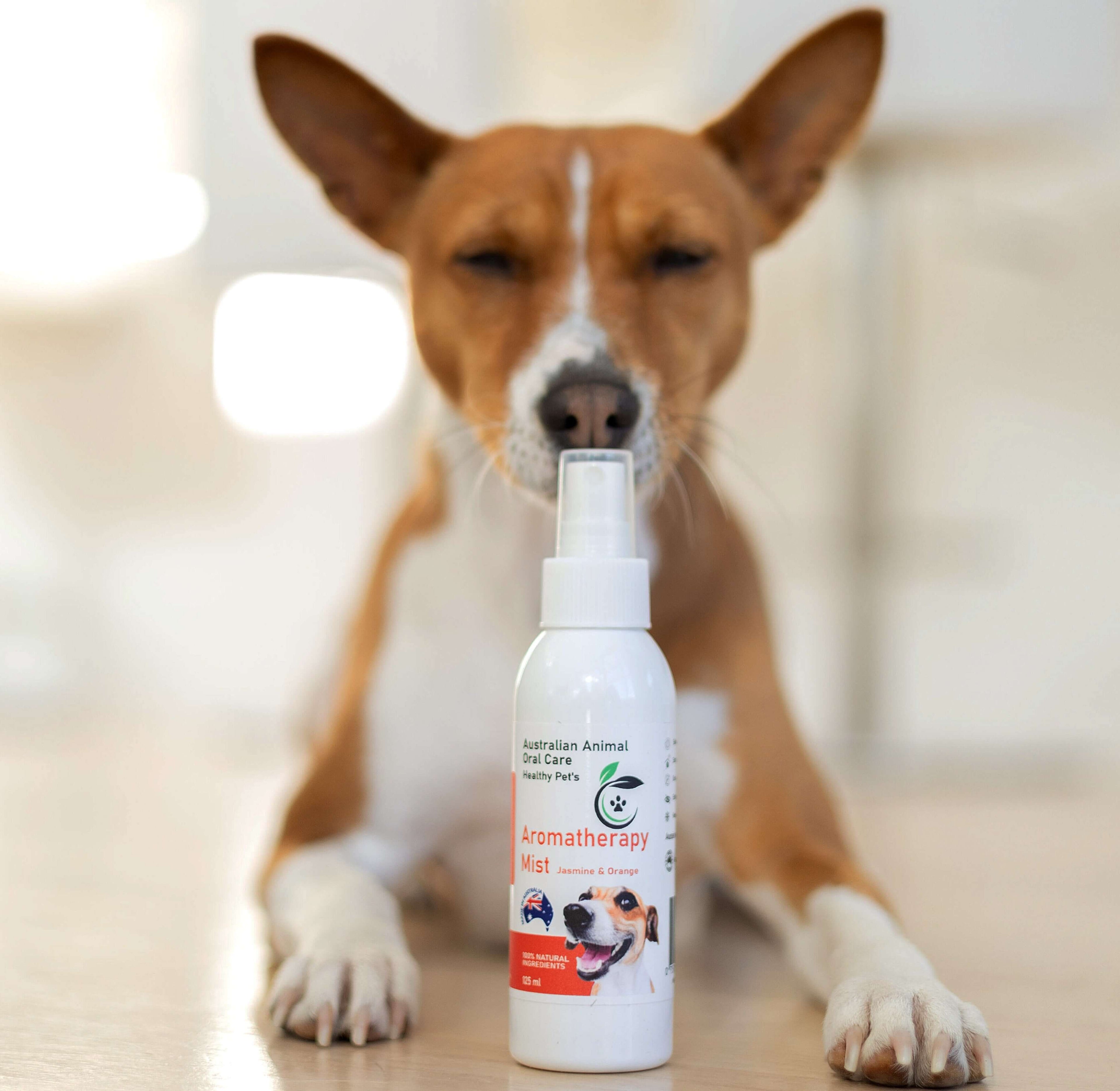 Pet Aromatherapy  for Dogs