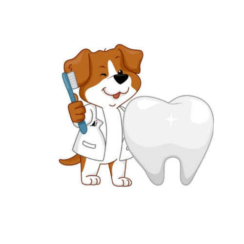 Anaesthesia-free pet dental clean by Dr Cesar Vargas, Australian Animal Oral Care