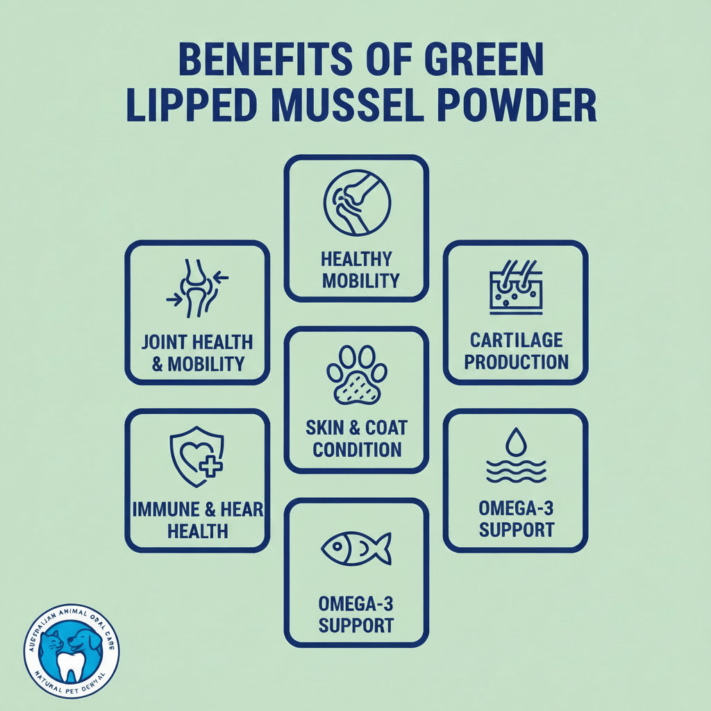 Benefits of Green Lipped Mussel Powder