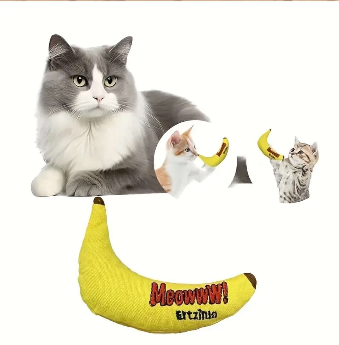Banana Cat Nip toy for Cats