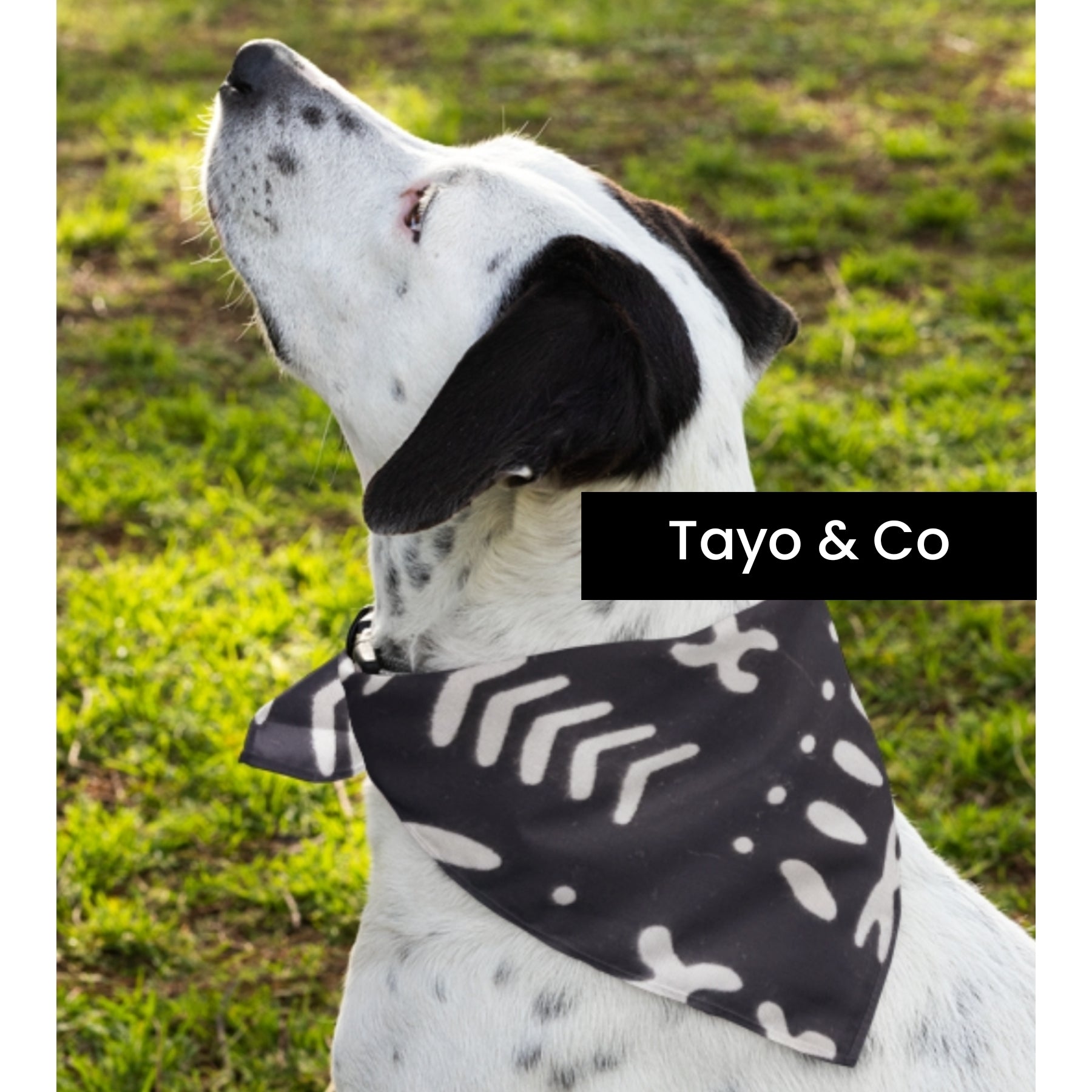 African Dog Bandana